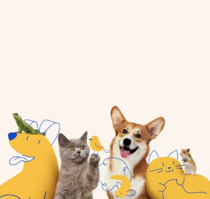 Pets